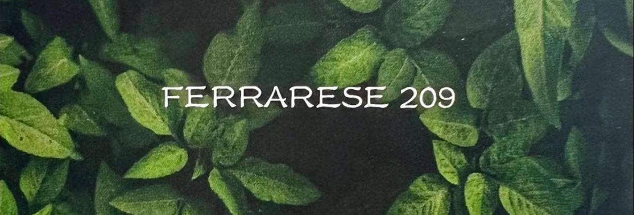 Ferrarese209 Leilighet Bologna Eksteriør bilde